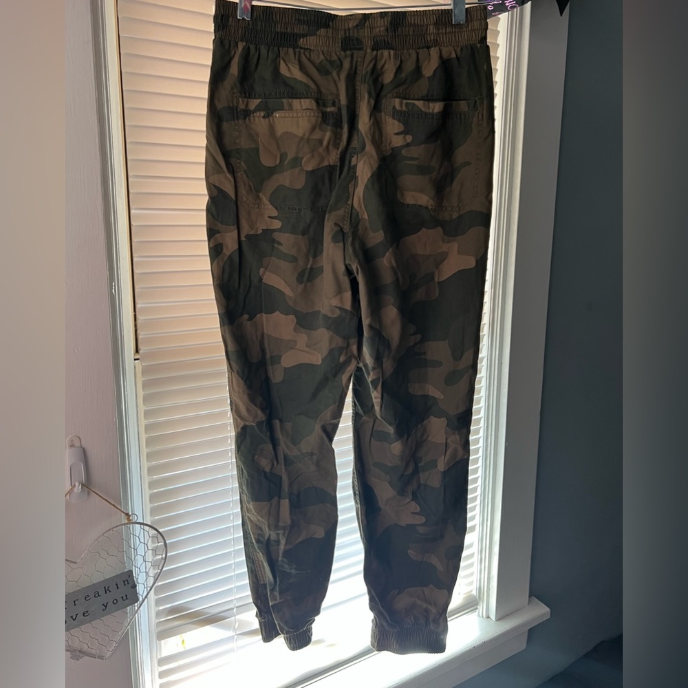 hollister joggers